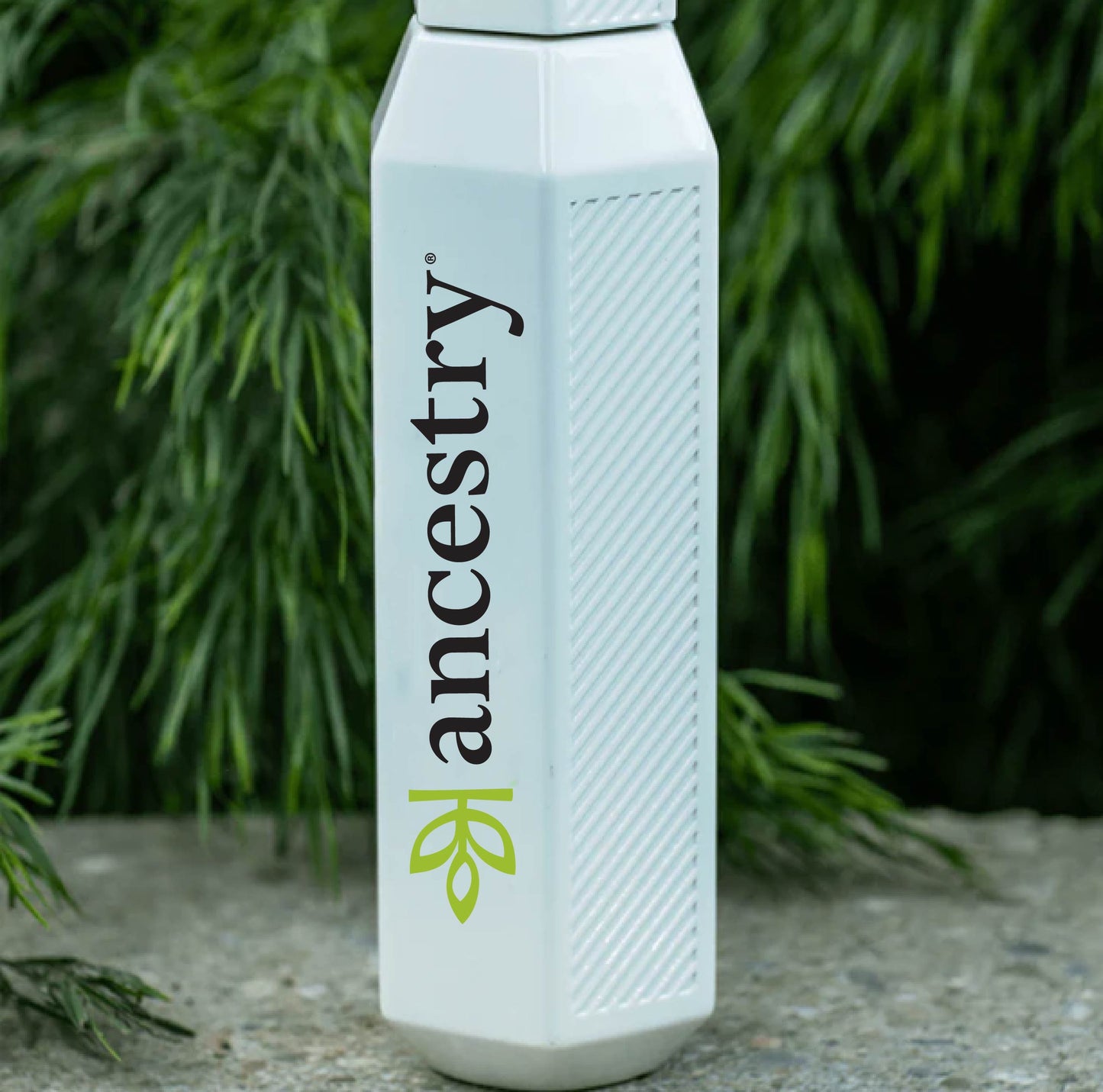 Ancestry Hexogul Water Bottle
