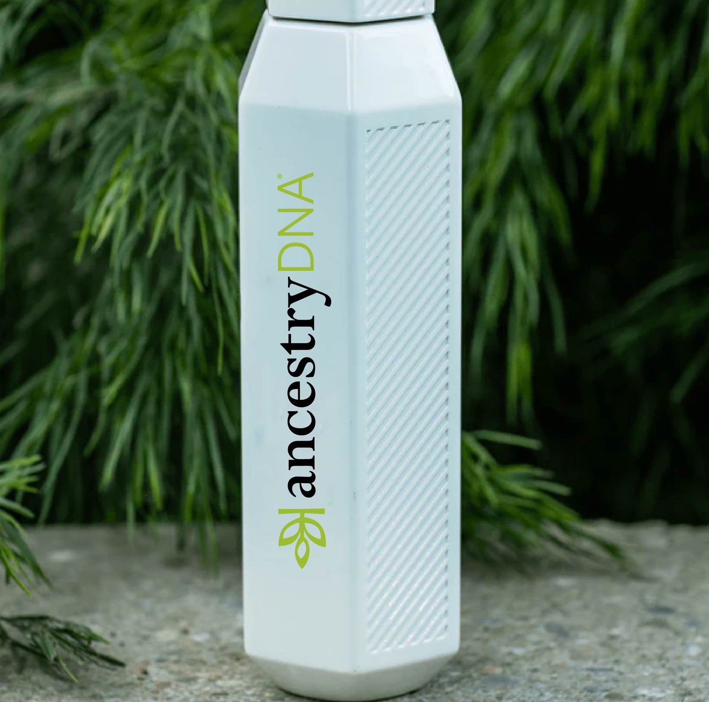 Ancestry Hexogul Water Bottle