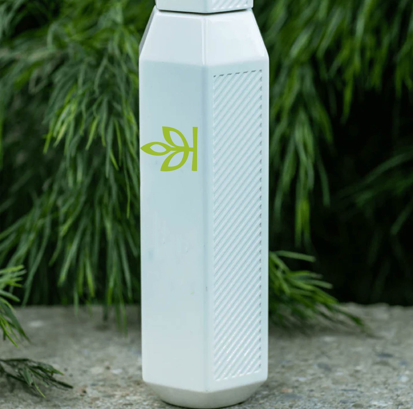 Ancestry Hexogul Water Bottle